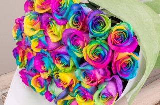 Rainbow Rose Bouquet - Five colors in One Rose